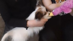 Показываем с моей подругой игрушки которые нравятся Джесе