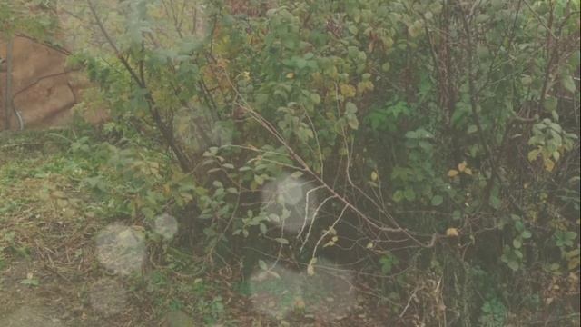 MV_20260222_162548.mp4