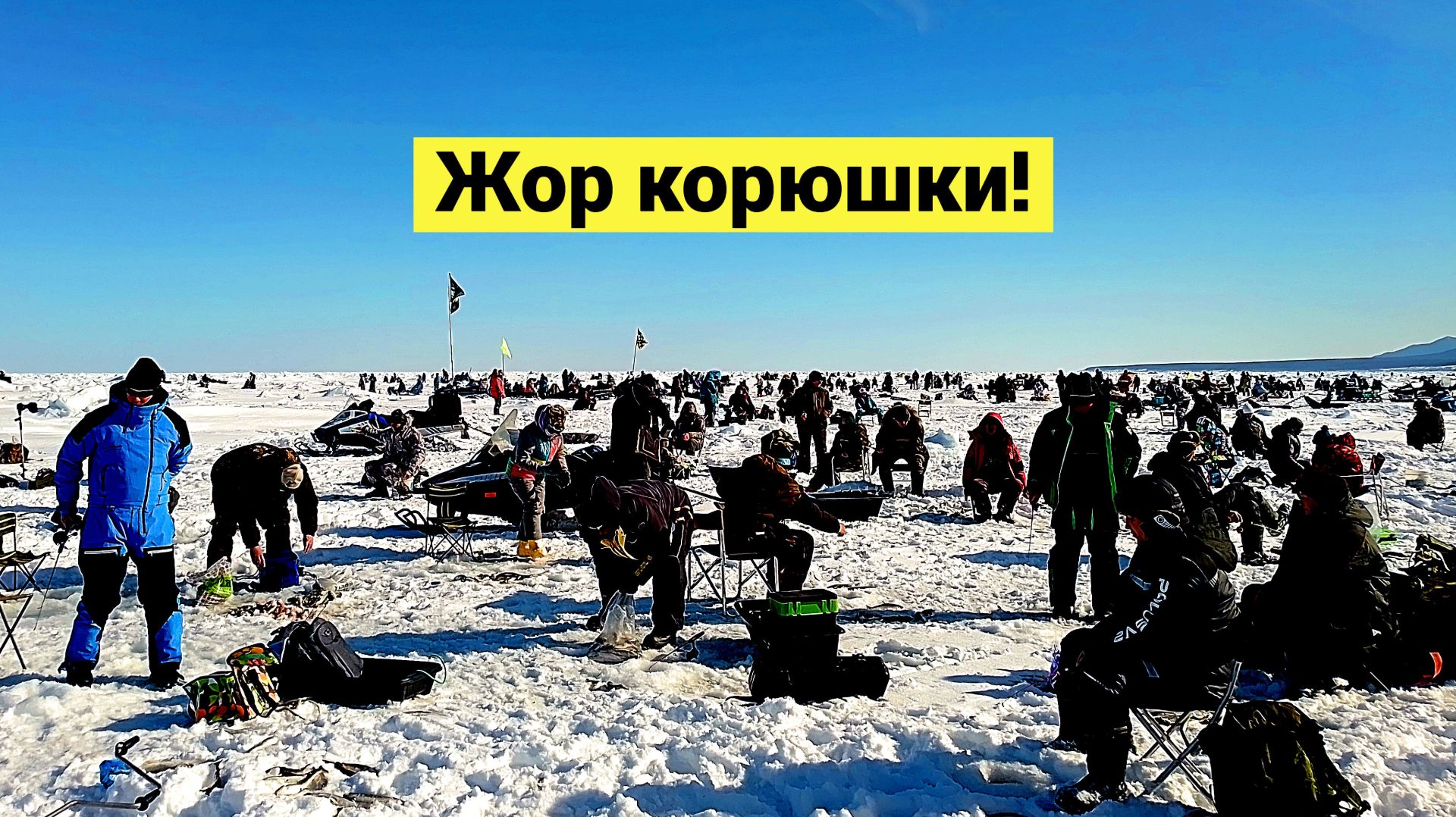 Сотни людей бегают за корюшкой! Безумная рыбалка! смотреть онлайн