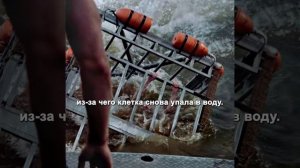 Хороший фильм на вечер !