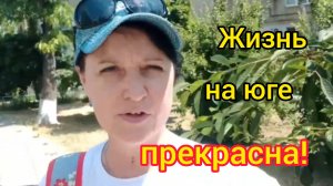 Ейск/Жизнь на юге прекрасна!/ Позитивное видео после переезда из архива/Мы открыты к СОТРУДНИЧЕСТВУ.