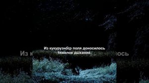 Хороший фильм на вечер !