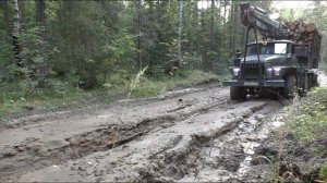 Дорога по болоту, горбыль спасает. Урал лесовоз.