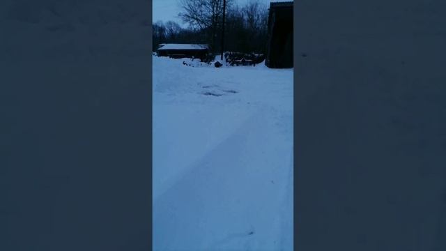 Очищаю снег на т-25. Тяну бревно на дрова 