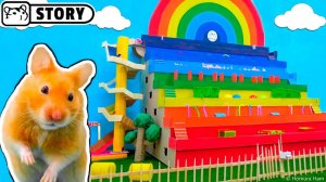 Радужный хомяк в лабиринте со ступеньками ️_🌈 Радужная полоса препятствий ️_🌈 Хомяк Хомура