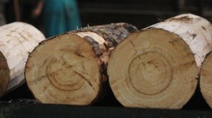 Мужчина избил соседа поленом из-за замечания в Тверской области