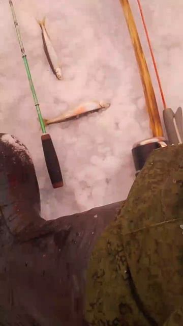 Блесна Рич от Mr.Musurok в деле 🎣