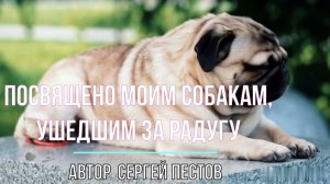 Посвящено моим собакам, ушедшим за радугу. Автор Сергей Пестов