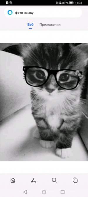 24 часа молчю токое в чат пишу