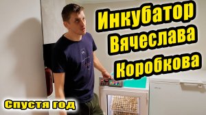Инкубатор Вячеслава Коробкова спустя год работы