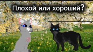 Плохой или хороший Грач? ||Коты воители||Луносветик КВ