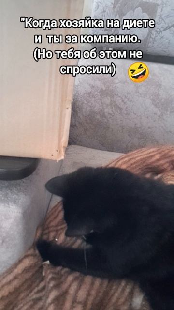 Ты не ты когда голоден.