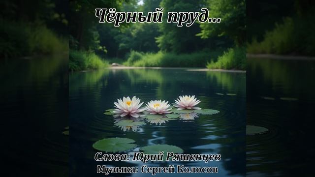 Чёрный пруд...(Слова Юрия Ряшенцева) смотреть онлайн