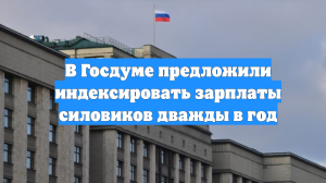 В Госдуме предложили индексировать зарплаты силовиков дважды в год