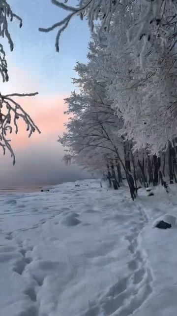 Зима в Питере смотреть онлайн