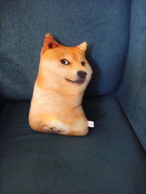 в океанариуме