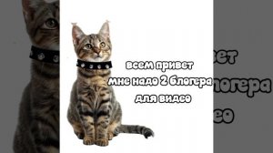 всем привет мне надо 2 блогера для видео