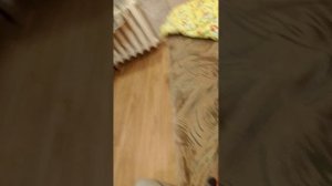 мини влог с басиками! 4 часть