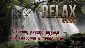 🎷 RELAX | Сборник релакс музыки под саксофон и пение птиц 🎵 Водопад и романтическая атмосфера