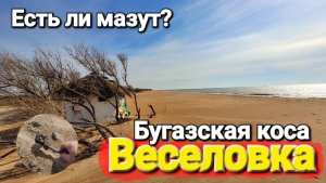 #Веселовка 22.02.2026 Бугазская коса - Неужели и тут есть мазут? Чёрное море