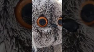 Утро Басика. часть 2⃣