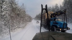 Делаю дорогу к новым штабелям. Про собаку и цепи в кабине.