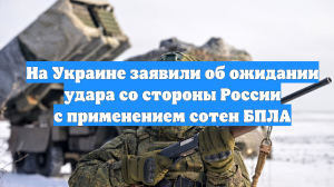 На Украине заявили об ожидании удара со стороны России с применением сотен БПЛА