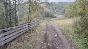 Промакс адв покатон дико на горках 🏇