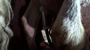 Влог от 06.04.2022