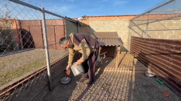 Кормим спасенных с улицы щенков