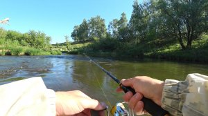 ПОВЕРХНОСТНАЯ ПРИМАНКА ТВОРИТ ЧУДЕСА