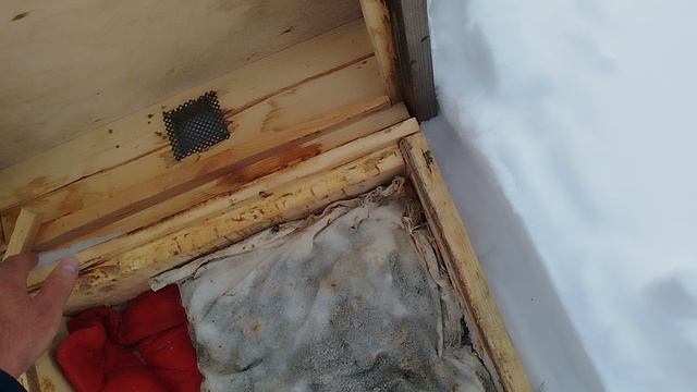 На пасеке 22 февраля,всё в снегу. смотреть онлайн