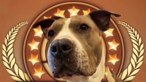 Дружина "Альтаир" поздравляет Олега Еронова с днем рожденья