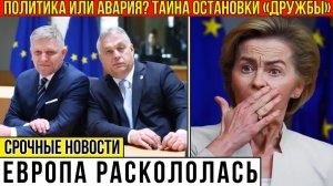Венгрия и Словакия против Киева — Европа раскалывается
