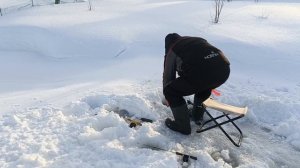 VID_20260222_101859_105