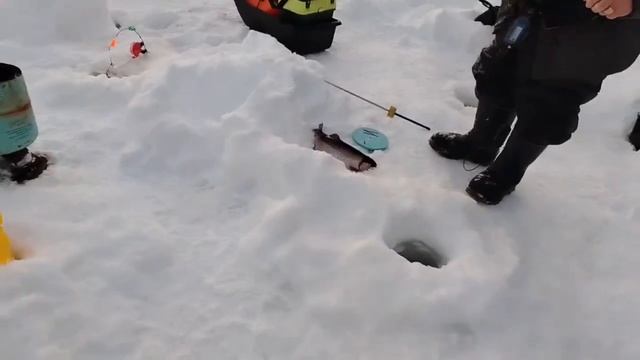 22.02.26 г. РК Волна. смотреть онлайн