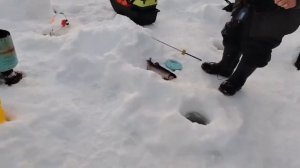 22.02.26 г. РК Волна.