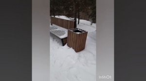 Зимняя прогулка для здоровья в хвойной аллейке