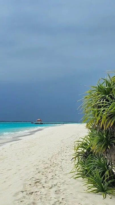 KISS ME - $ OVERBOARD $ - ТРЕВОЖНАЯ