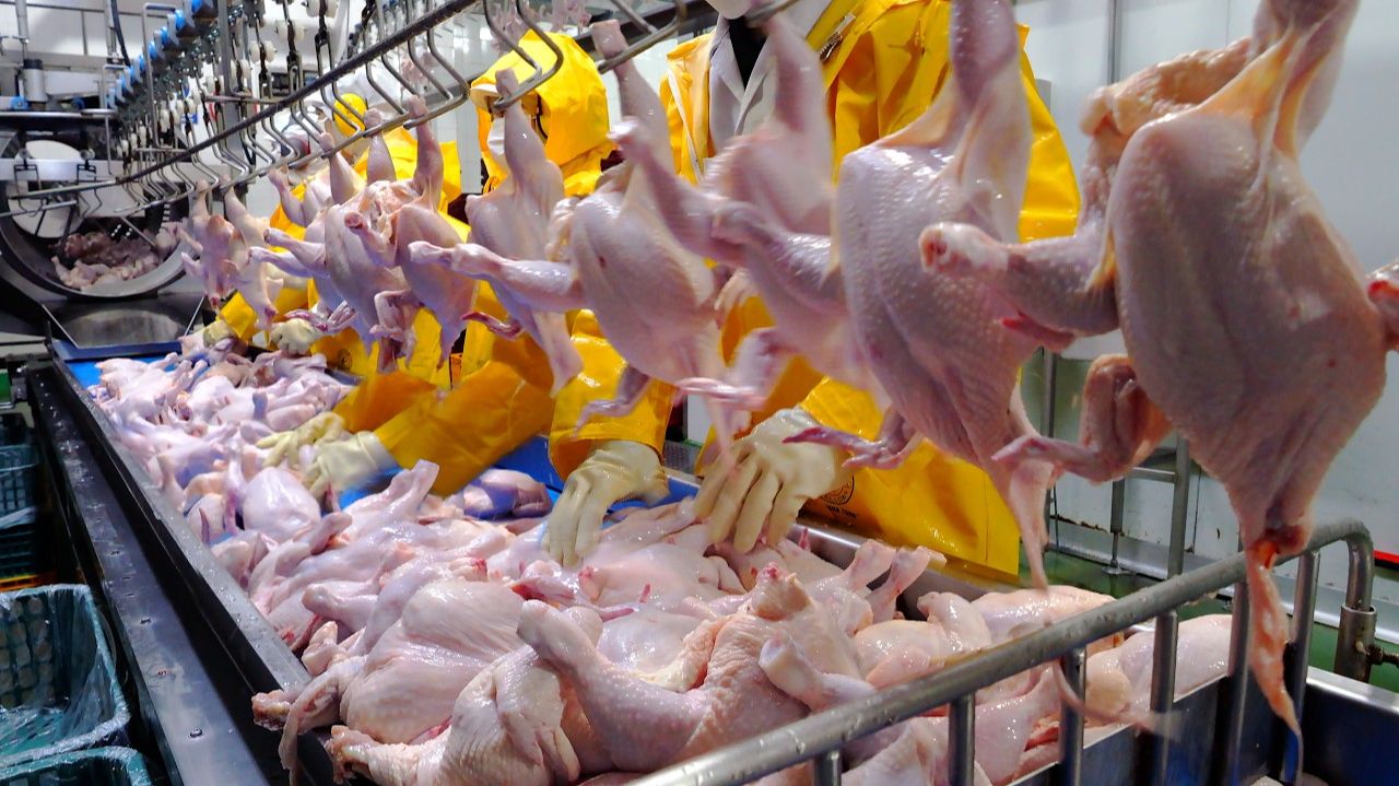 Процесс массового производства Корейская еда смотреть онлайн