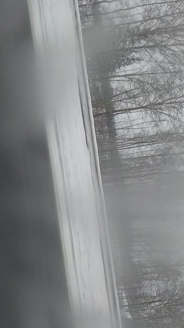 мой путь в Беларусь