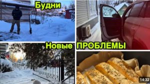 2268 НОВЫЕ ПРОБЛЕМЫ\УТРОМ ОПАЗДЫВАЕМ\ВЫПАЛ СНЕГ\ПОЯВИЛИСЬ ПТИЧКИ\ХОЛОДНАЯ НОЧЬ влог