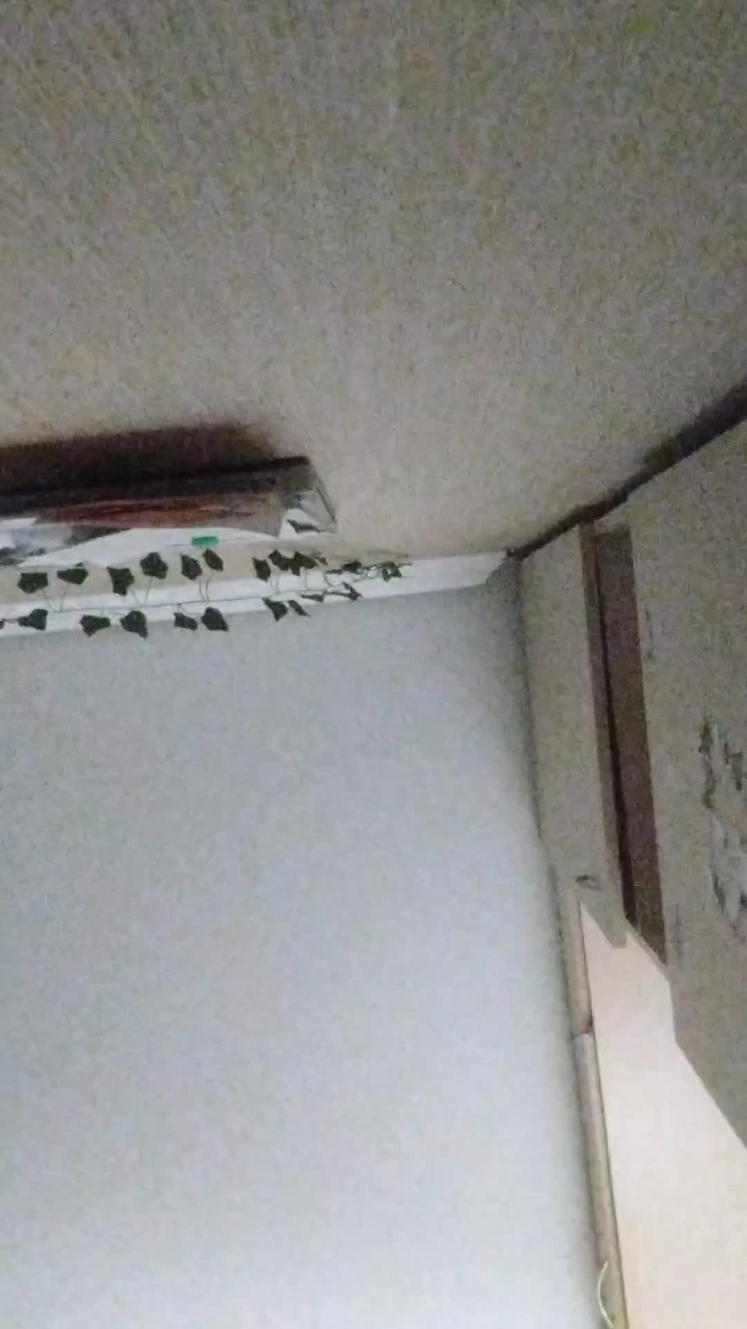 3 смотреть онлайн