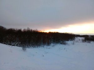 гуляем зимой выполняем ваши задания
