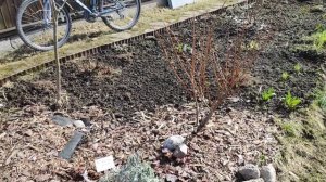 2-Дача..Открытие сезона.. 2022..2 часть. 23.04.22