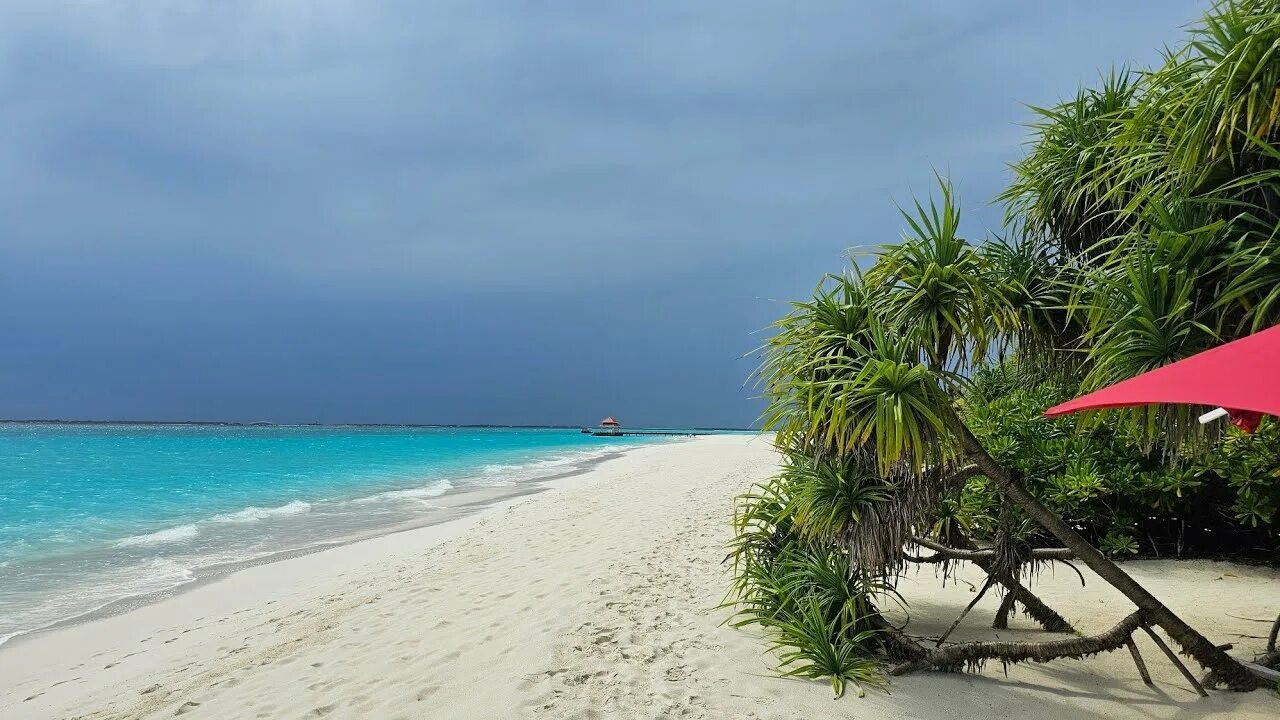 KISS ME - $ OVERBOARD $ - ТРЕВОЖНАЯ