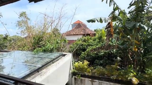 Беженец🇮🇩Бали. ВОЛОСАТАЯ ЮФИЛ ИЗ СУМБЫ. СНОВА ЖДУ АЛЫЕ ПАРУСА. НЕВКУСНЫЕ ФРАНЦУЗСКИЕ ГРЕЧНЕВЫЕ смотреть онлайн