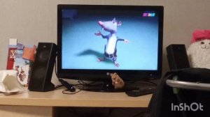 взлом мульта