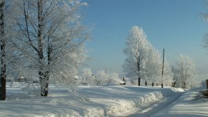 Зимуем под снегом в огороде