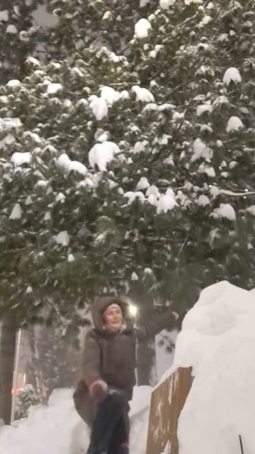 #жиза #зима #кайфовая